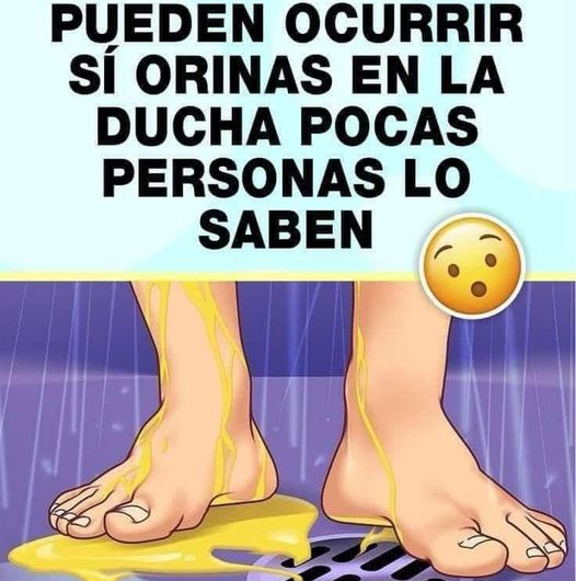 😱5 Cosa que te pueden ocurrir si orinas en la ducha, pocas personas los saben…😱 Toque el texto azul 😱👇🚨👇