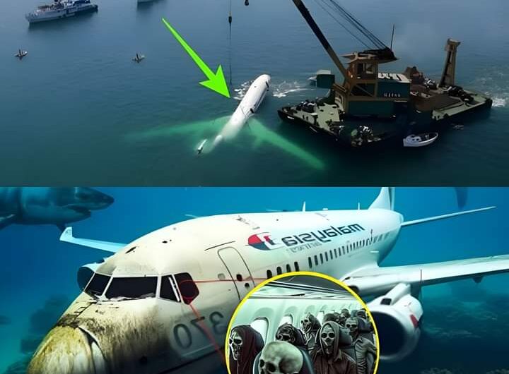 NOTICIAS DE CALIDAD: Científicos revelan un nuevo y escalofriante descubrimiento sobre el vuelo 370 de Malasia: un punto de inflexión en el misterio
