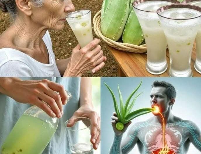 12 razones para beber agua de aloe de vera todos los días y como prepararla paso a…Ver Más